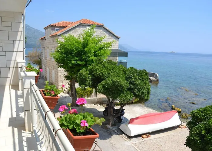 Pavla * 오레비츠