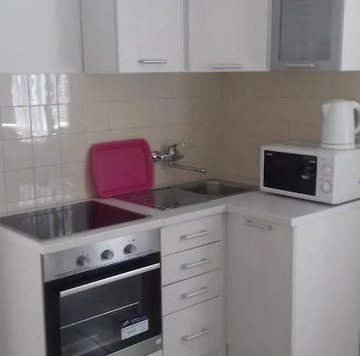 Pavla * 오레비츠