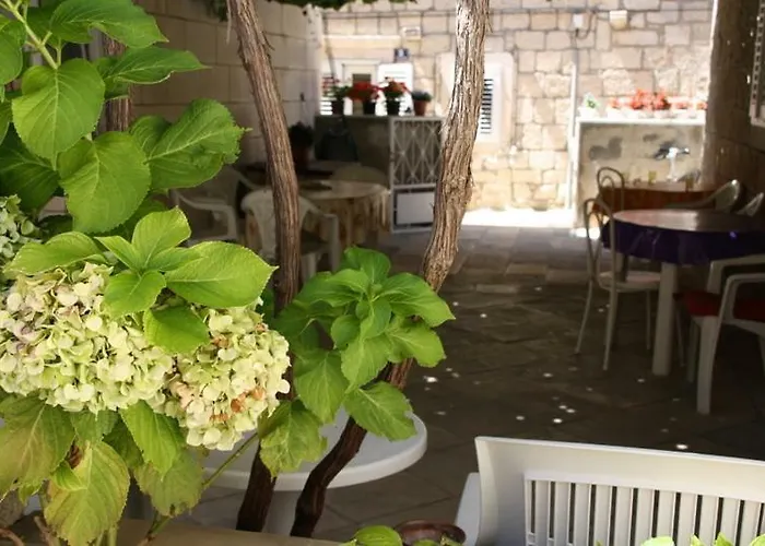 아파트 Pavla 오레비츠